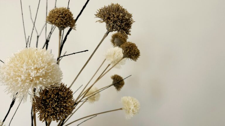 Sculptural dried floral installation in the BloomBar studio